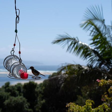 Room With A View Plettenberg Bay Ngoại thất bức ảnh